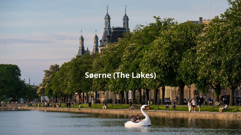 Duck by the Lake